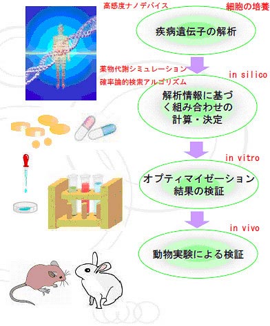 疫病遺伝子の解析→解析情報に基づく組み合わせの計算・決定→オプティマイゼーション結果の検証→動物実験による検証
