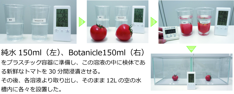 トマト