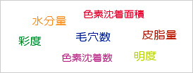 水分量・色素沈着面積・皮脂量・明度・色素沈着数・彩度・毛穴数
