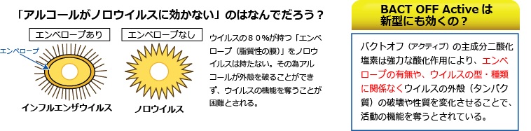 ノロウイルス　エンベロープ