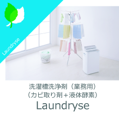 Laundryse