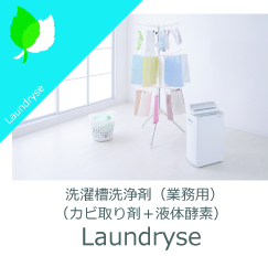 Laundryse