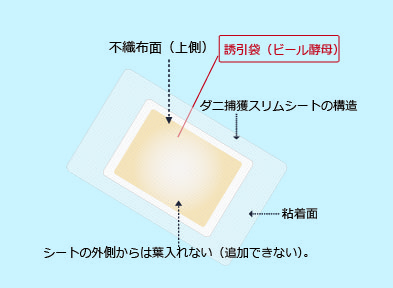 ダニ仕組み